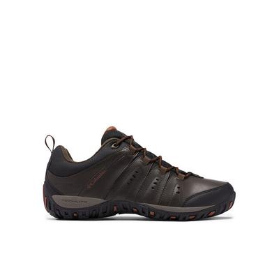Woodburn II Waterproof Hiking Boots