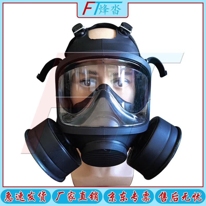 Fengta TF11D Wide View Protective Respirator Mask