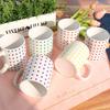 pa339-Design Mug 6p-Rainbow Dot Pattern