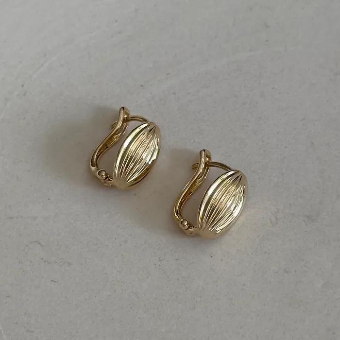 14k Shell Earrings