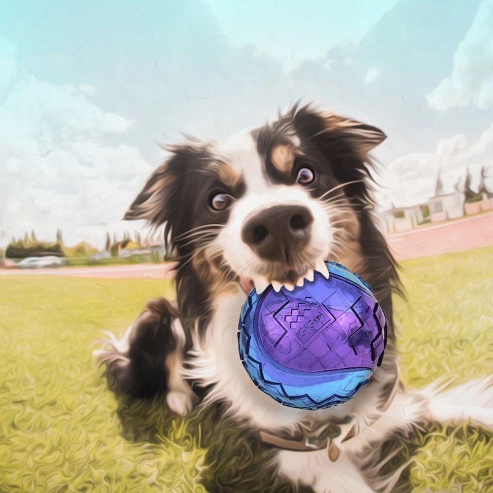 Toys Pet Supplies Relieve Boredom Outdoor Play Sounding Toy Molar Ball Elasticity Ball Dog  Toy