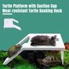 Platformă de pescuit pentru broaște țestoase Textură anti-alunecare Instalare ușoară din plastic Rampă de terasă pentru broaște țestoase Insulă plutitoare Zonă largă de plajă cu ventuză pentru rezervor