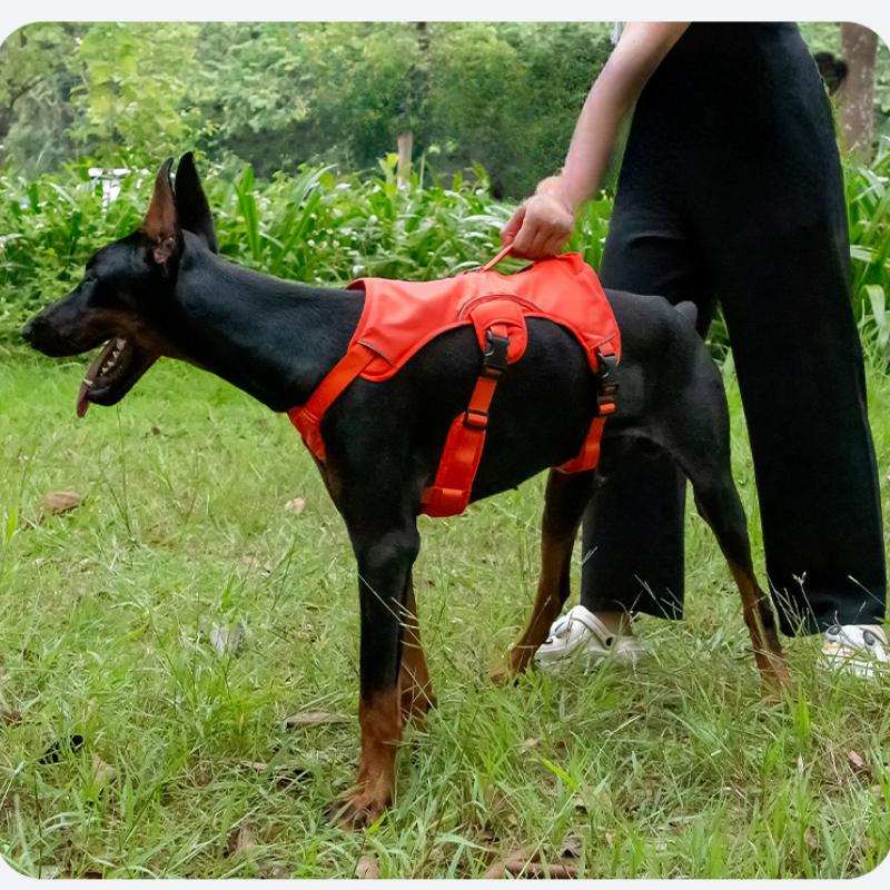 Γιλέκο Έλξης για Κατοικίδιο Σκύλο, Λουρί Περιπάτου Σκύλου