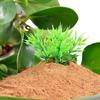 Aquatic Pond Soil Pond Potting Nutrition Mud For Water Lily Plant Growing Media For Water Lilies Lotus Gardening Supplies