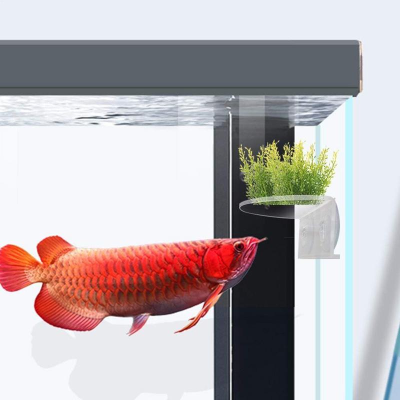 Aquarium Plant Holder Suction Acrylic Ledge Aquatic Grass Shelves Compact Transparent Aquarium Plants Rack For Fish Tank Window