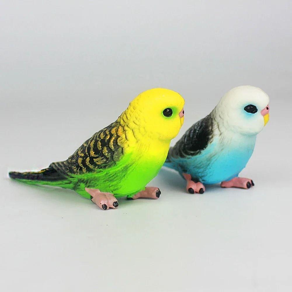 Miniatures Bird Figurines Educational Budgerigar Toy Collectible Simulated Budgie Parrot  Office