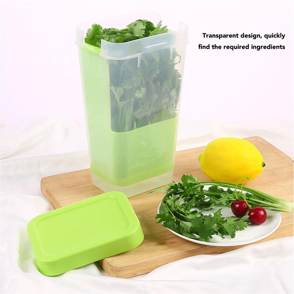Plastic Asparagus Container Transparent Vegetables Keeper Asparagus Organizer  For Kitchen