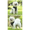 Adjustable Dog Harness Vest Leash Set Outdoor Walking Lead with Collar Pet Safety Strap