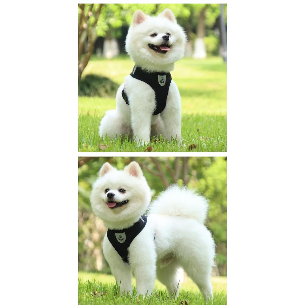 Adjustable Dog Harness Vest Leash Set Outdoor Walking Lead with Collar Pet Safety Strap