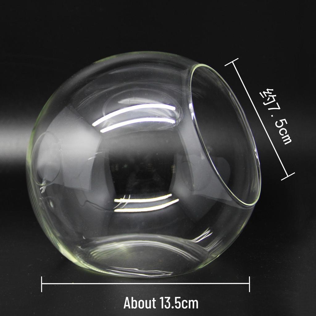 Round Oblique-Mouth Glass Vase for Succulents and Micro Landscapes