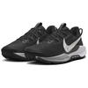 Nike Pegasus Trail 5 Black White Men Sneakers Anthracite Wolf-Grey DV3864-001