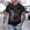 Cute Dog Print T-shirt, Summer Fashion Short-sleeved Fun 3D Animal Print T-shirt, Men's Casual Loose Harajuku Style T-shirt.