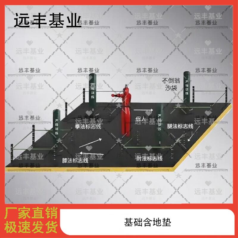 Martial Arts Training & Assessment System
