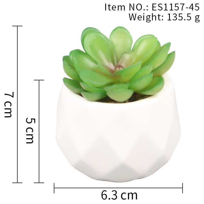 

Simulated Succulent Plant Diamond Cup Bonsai, Fresh Decoration For Home And Office, Comfortable Body And Mind Es1178-4