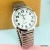 Large Number Luminous Elderly Quartz Watch with Waterproof Stainless Steel Elastic Band