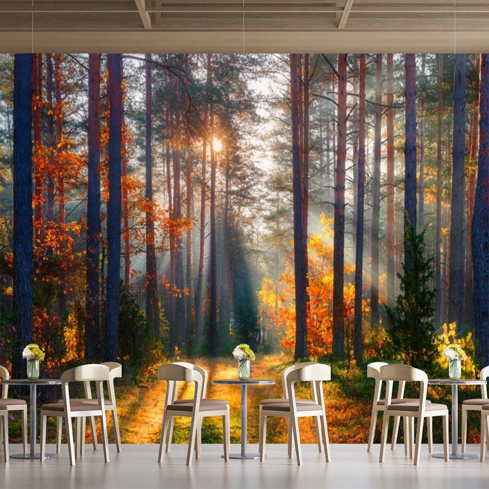 Autumn Sunshine Forest Wallpaper Natural Forest Mural Modern Living Room Bedroom Backdrop Wall Mural