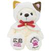 Local Bear Onomichi Cat Bear Plush Toy S Hiroshima Limited Fujini Makoto