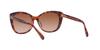 Sunglasses HC8365U CH566 PINK PINK GRADIENT Lens 55 [Coach] TORTOISE/TRANSPARENT Frame/BROWN