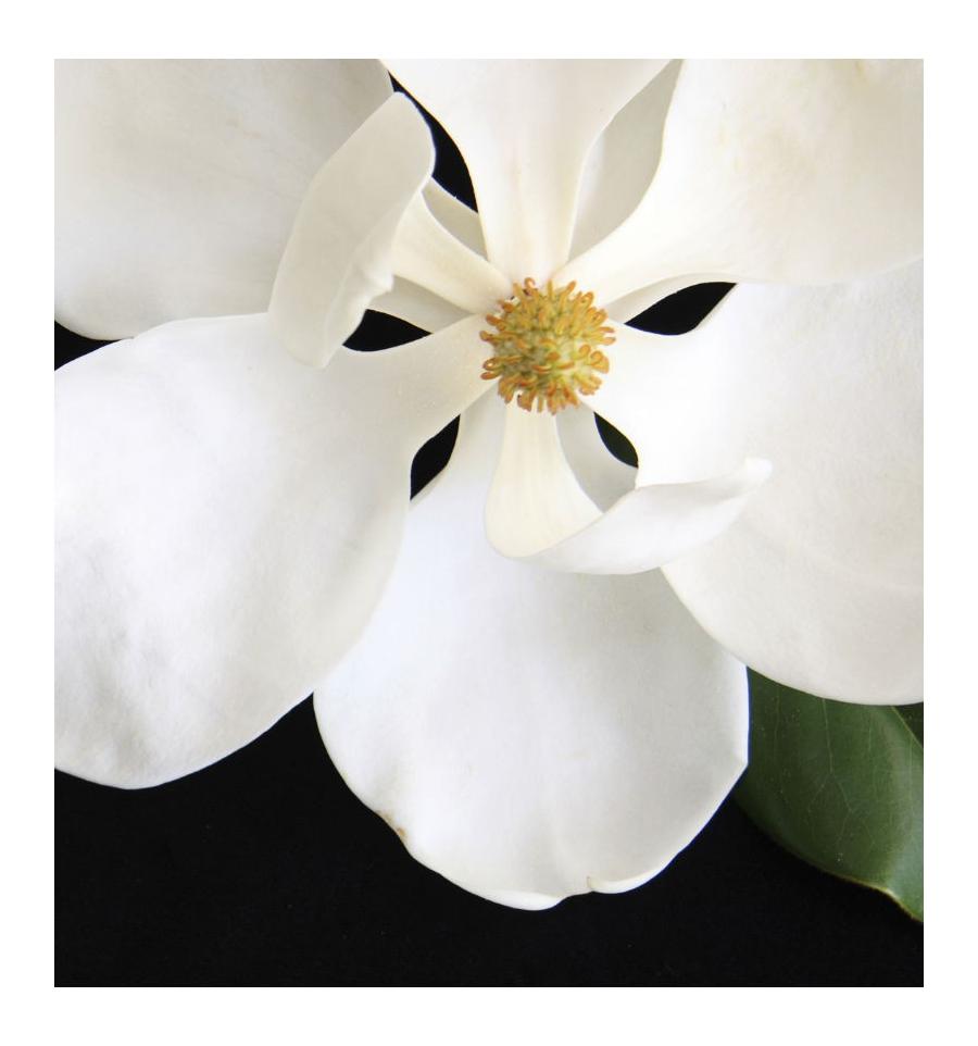 Yodeyma Candy parfümiertes Wasser für Frauen 100 ml