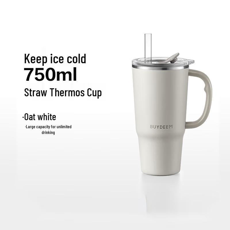 Buydeem 316L Stainless Steel 750ml Dual-Drink Insulated Bottle