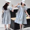 Girls' Polo Dress - Summer 2026: Stylish Academy Fashion for Older Children