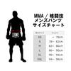 Leone 1947 LEGIONARIVS II MMA SHORTS, Unisex, Wide Slit, XXL, Black/Gold, AB790 [Authentic]