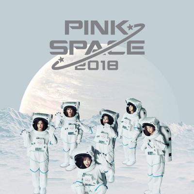 Apink - Livro do Concerto Pinkspace 2018