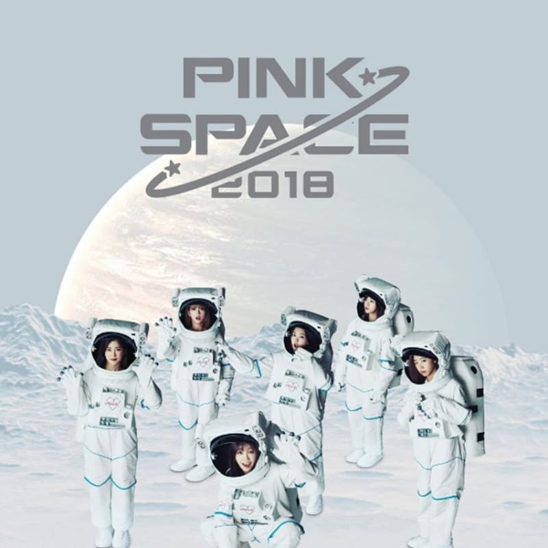 

Apink - Pinkspace 2018 Concert Book