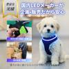Cute Dog Harness for Suitable for and Large Made by a Japanese with Illuminated LED Lights Walks, Small, Medium, Dogs, Company, (Blue, S)