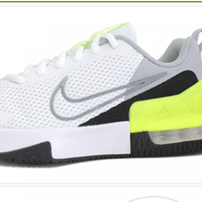 Nike Air Max Alpha Fitness Shoe Sneaker Light Grey Fq1833 006