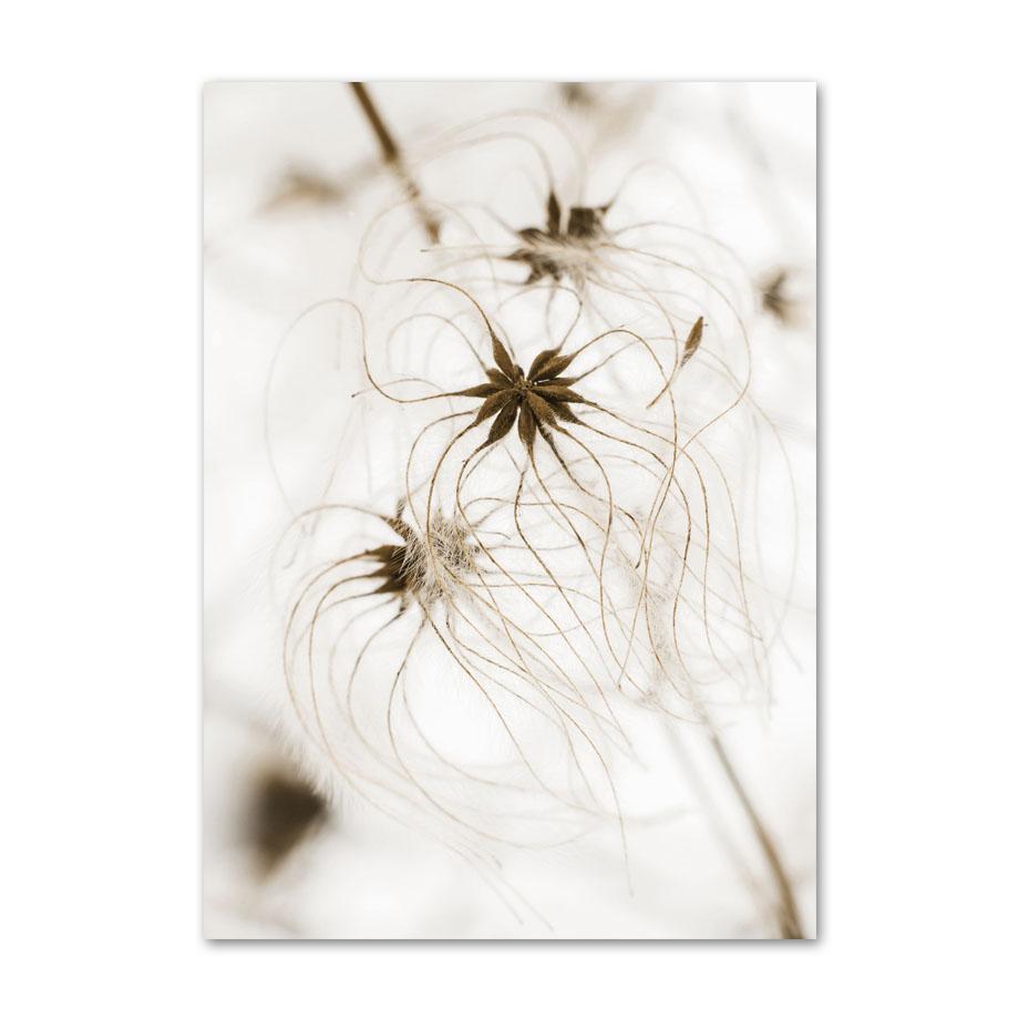 Бежевый Пейзаж Плакат Одуванчик Кроличий Хвост Тростниковый Цветок Лист Стена Искусства Принт Холст Картины Настенные Панно Гостиная Домашний Декор 20x30cm