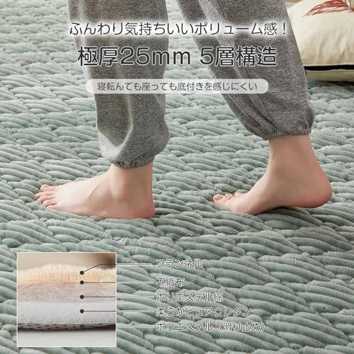 CHOSHOME Carpet Rug, Extra Thick 25mm, Fits 1.5 Tatami Mats, Thick Rug, All-Season, Non-Slip, Soundproof, Soft To the Touch, Nordic Style, Warm, Washa