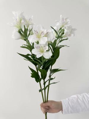 White Artificial Daffodil Silk Flower Stem Fake Flowers for Home Wedding Decoration Table Centerpiece Floral Arrangement