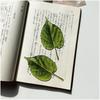 Translucent Leaf Student Reading Bookmark for Book Lover School Student Gifts Creative Clear Green Leaves Bookmark Acrylic