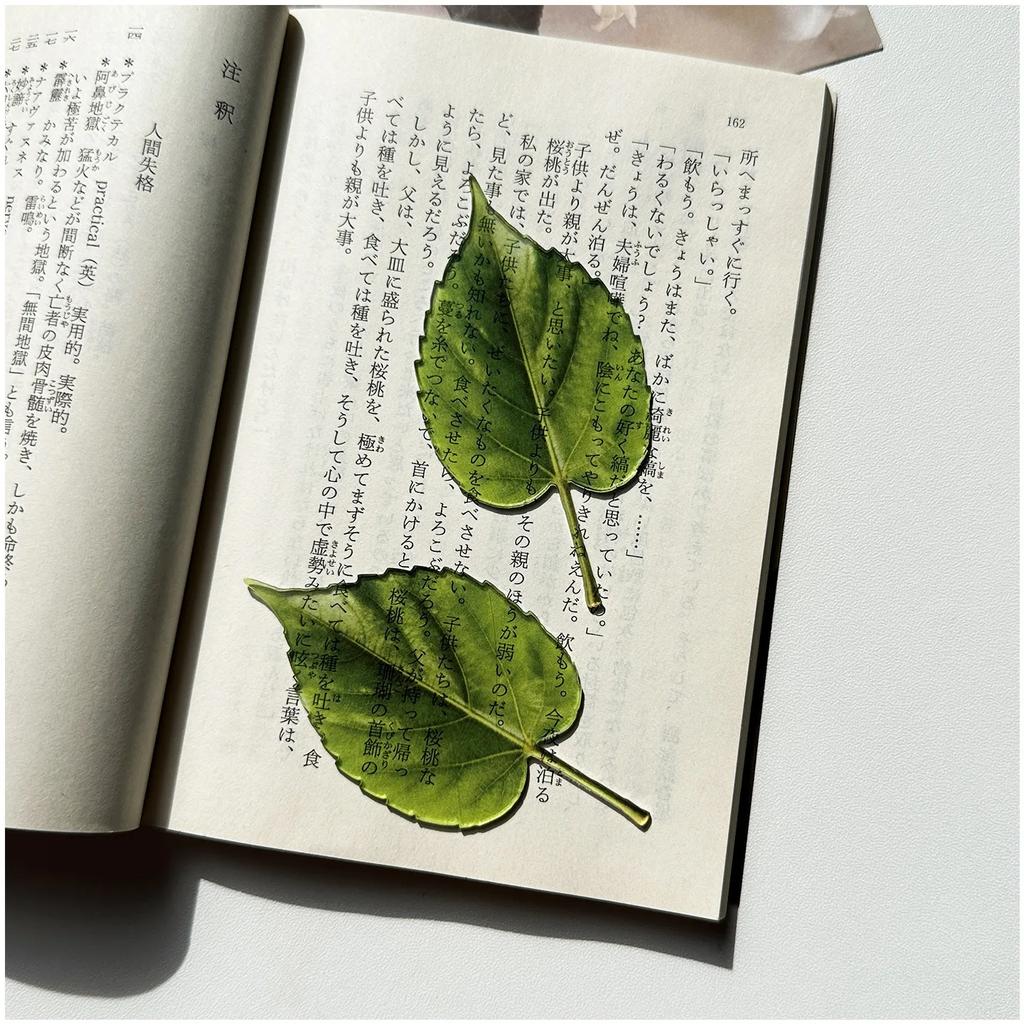 Acrylic Red Apple Bookmark Acrylic Fruit Translucent Student Reading High-quality Bookmark Creative Birthday Gifts for Bookworm
