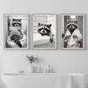 Funny Raccoon Bathroom Wall Art Print Raccoon In Bathrobe Poster Raccoon Taking a Bath Pictures Raccoon On Toilet Mural Decor