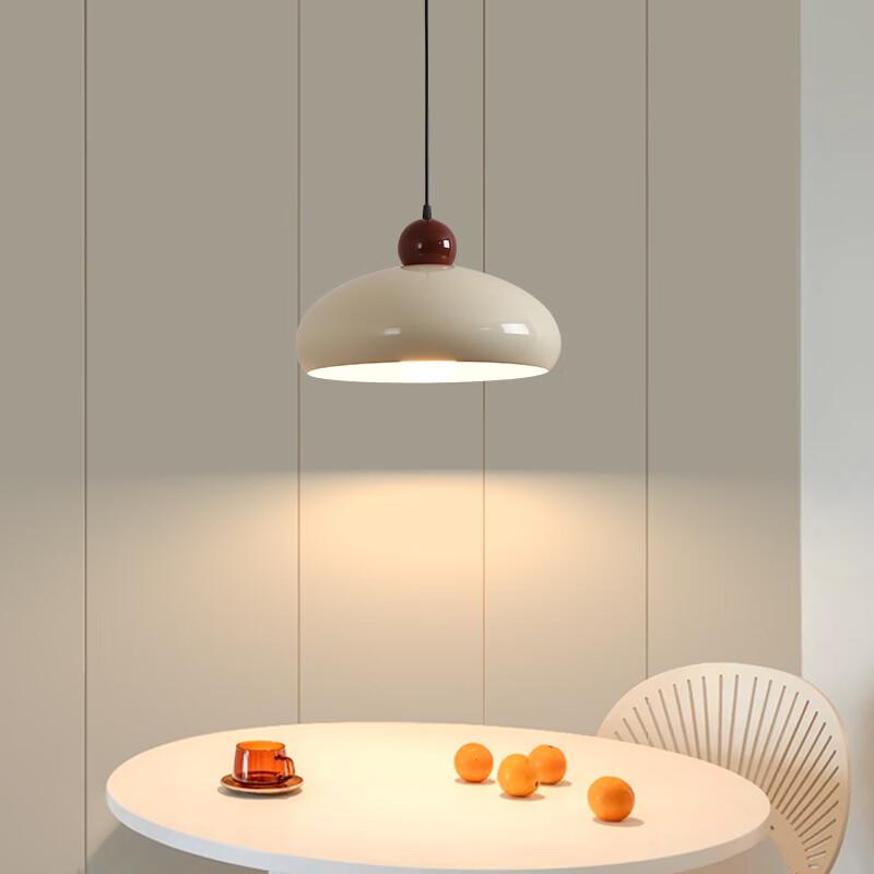 Oeny Modern Dimmable LED Ceiling Light