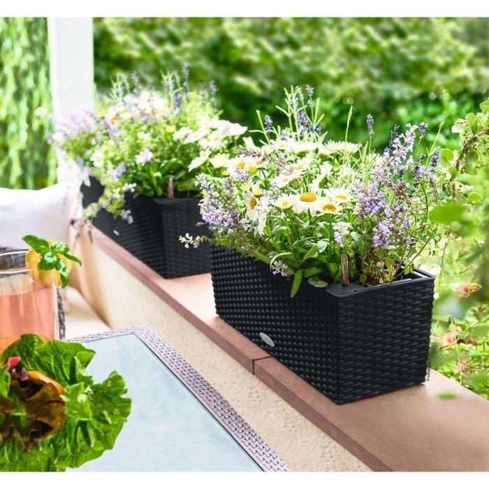 LECHUZA Pflanzkasten - Balconera cottage 50 - 50 x 19 x 19 - Komplettset - Graphitschwarz - 8 L