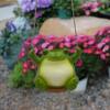 Schwingende Frösche Pflanztopf Niedliches Lächeln Harz Blumentopf Schwingender Sukkulenten Blumentopf Wandbehang Blumentopf Gartendekoration