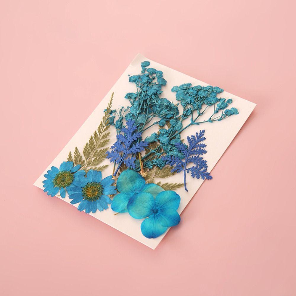DIY Materials Dried Flower Stickers Handmade Flower Page Bookmark DIY Dried Flower Bookmarks Kids