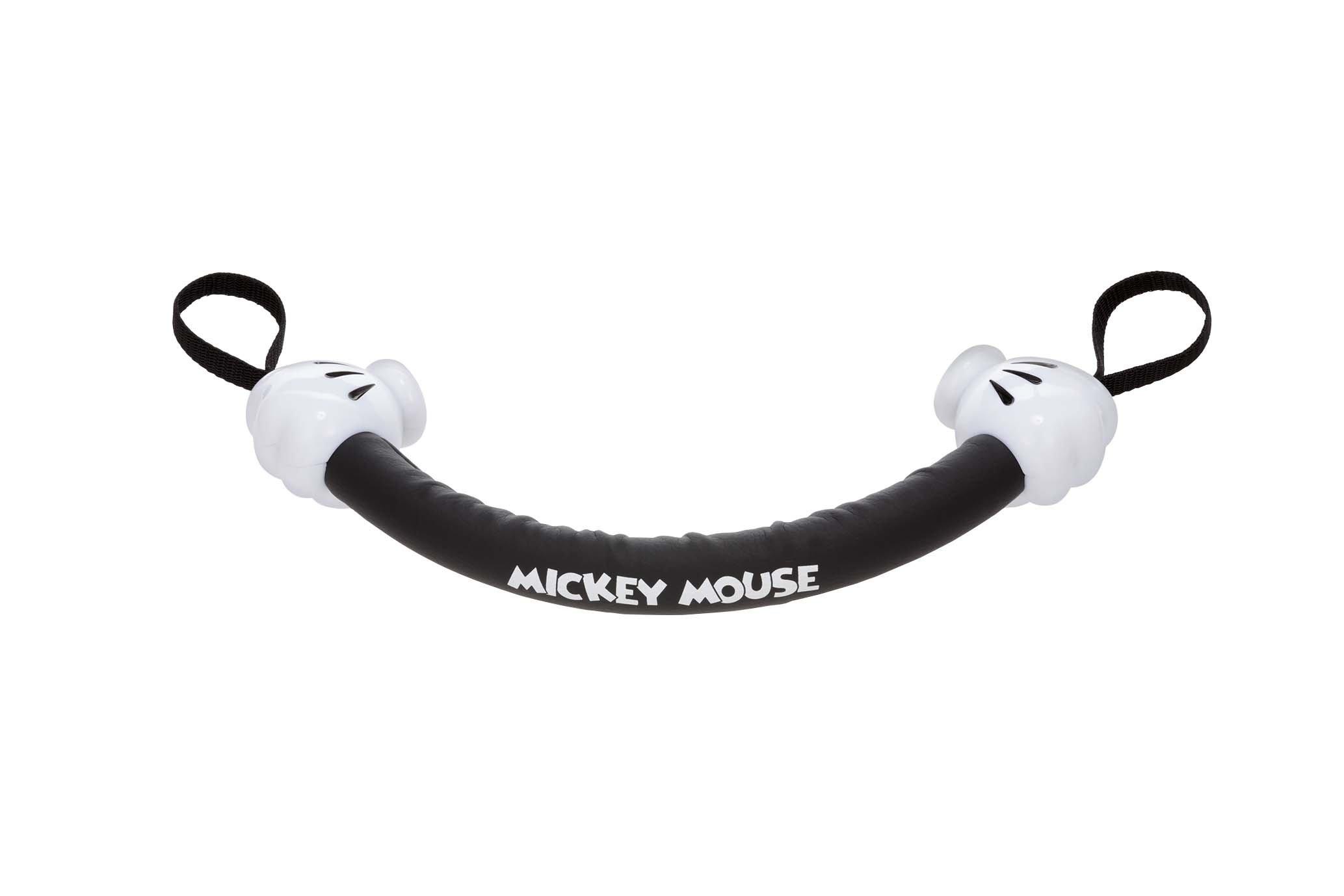 

Napolex Disney Seat Car Car Grip, Entry/Exit Assist, Accessory, WD-295