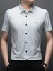 Men's Vertical Striped Short-Sleeve Non-Iron Shirt - Summer Fashion for Dad