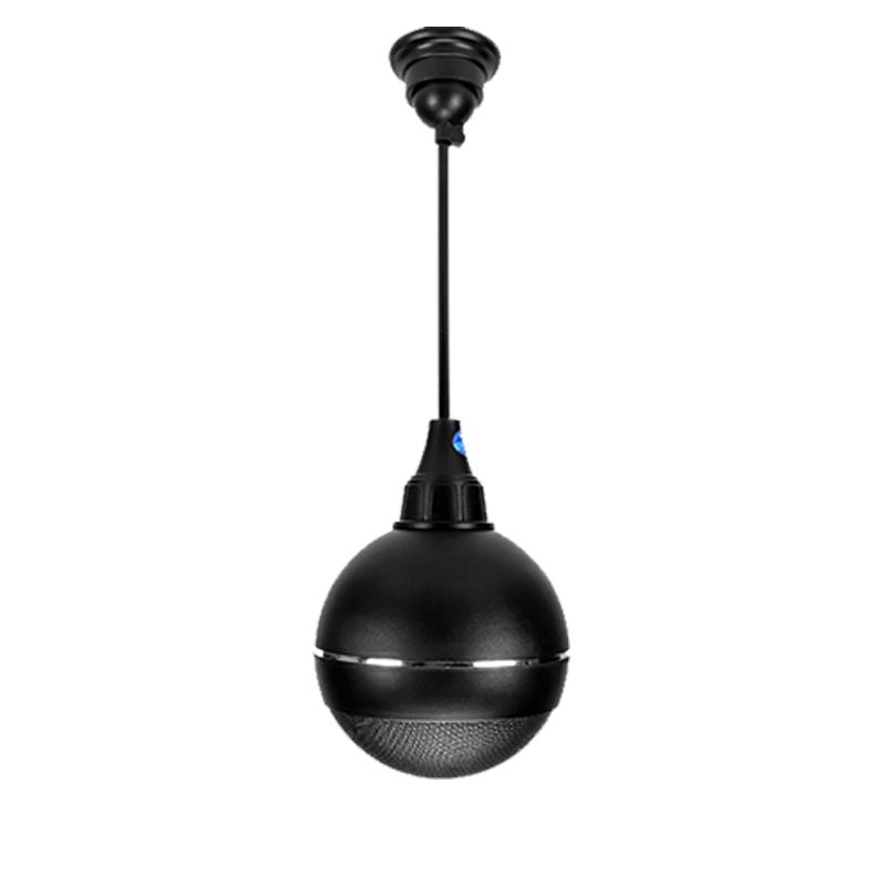 SAST 25W Commercial Hanging Ball Ceiling Speaker CN plug (adapter included)