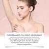 Pomegranate Deodorant Stick - Long-Lasting Body Care with Rosemary & Aloe Vera, 30g