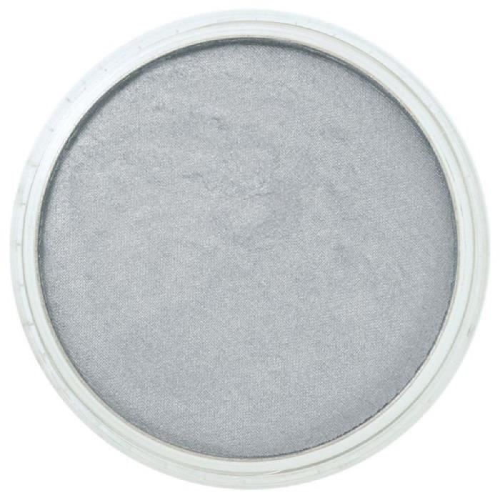 Pastel en godet - PANPASTEL - Pewter 921.5 - Ultra tendre - Format unique - Pour peinture et dessin