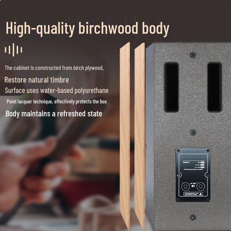 HUIDU Professional 15-inch Full-Range Speaker System