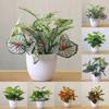 Plante Artificiale Plante Falsificate Floare în Ghiveci Ornament DIY