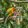 Bite Resistant Parrot Chewing Toys Shredding Crinkles Corn Husk Grinding Toy  Mental Play Training