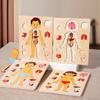 Montessori Puzzles Busy Board Menschlicher Körper Lehren Lernen Körperteile Für Kinder Früherziehung Spiele Kleinkinder Ruhige Bücher