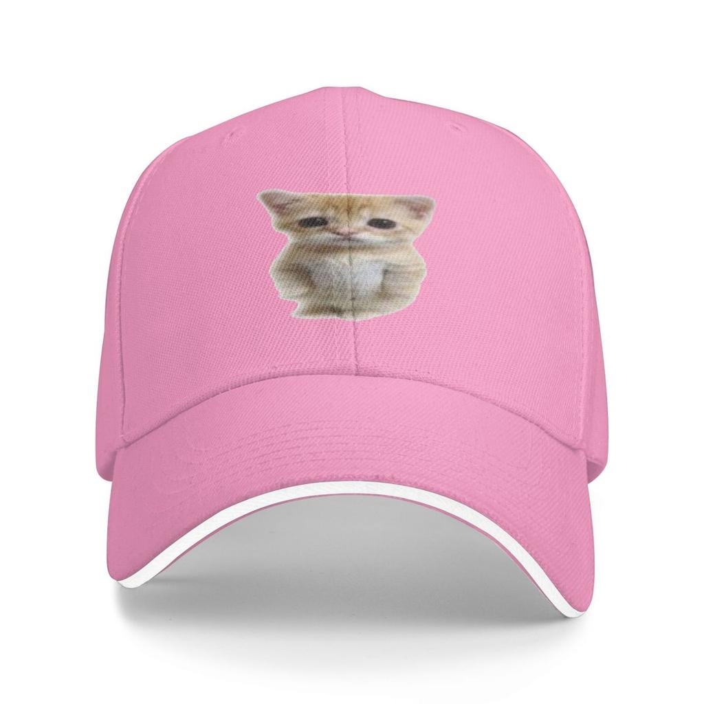 Unisex Baseball Hats El Gato Standing Cat Meme Outdoor Streetwear Summer Sports Baseball Caps Cap Casquette Polychromatic Hats
